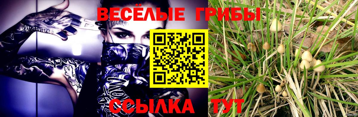 Псилоцибиновые грибы MAGIC MUSHROOMS  Вход с VPN  Галлюциногенные грибы прущие грибы  Россошь 