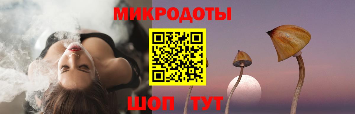 Псилоцибиновые грибы Psilocybe Россошь